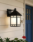 Matte Black Frosted Glass Lantern Wall Light