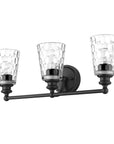 9" Black And Clear Metal and Glass Vanity Flush Mounted Sconce