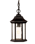 Antique Black Textured Glass Lantern Hanging Light
