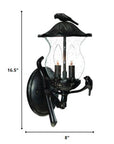 Matte Black Bird Detail Lantern Wall Light