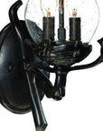 Matte Black Bird Detail Lantern Wall Light