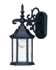 Narrow Matte Black Domed Hanging Lantern Wall Light