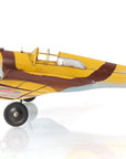 c1941 Curtiss Hawk 81A Sculpture