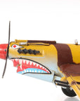 c1941 Curtiss Hawk 81A Sculpture