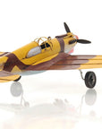 c1941 Curtiss Hawk 81A Sculpture