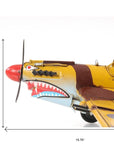 c1941 Curtiss Hawk 81A Sculpture