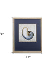 Set of Two Ocean Seashells Wall Art