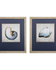 Set of Two Ocean Seashells Wall Art