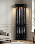 Elegant Black Lighted Curio Cabinet