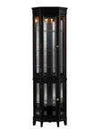 Elegant Black Lighted Curio Cabinet