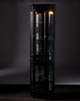 Elegant Black Lighted Curio Cabinet