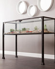 43" Clear and Black Glass Distressed Console Table With Storage
