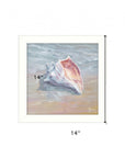 Whelk White Framed Print Wall Art