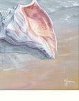 Whelk White Framed Print Wall Art