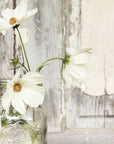 White Blossoms 1 White Framed Print Wall Art