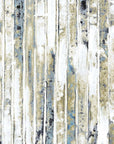 Visionaire Silver Framed Print Wall Art