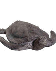22" Sea Turtle Indoor Outdoor Statue