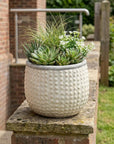 6" Beige Dot Ceramic Indoor Outdoor Round Pot Planter