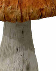 15" Orange And White Polyresin Mushroom Outdoor Statue