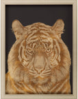 Wild Tiger Portrait Gold Framed Print Wall Art
