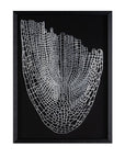 Wild Badlands Black Shadowbox Textual Art Wall Art