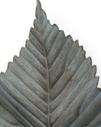 Brattea 16" X 9" Green Leaf Metal Hanging Dimensional Sculpture