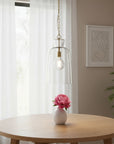 Clear Single Glass Dimmable Ceiling Light With Clear Shades