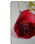 24" Red White And Gold Solid Wood and Acrylic Silent Roses Floral Wall Clock