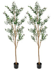 Set Of Two 84" Green Artificial Olive Trees in a Black Pot