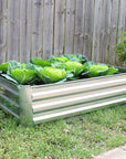 12" X 48" Silver Steel Rectangular Raised Garden Bed