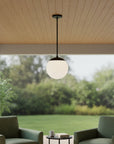 10" Black And White Frosted LED Dimmable Outdoor Globe Hanging Light