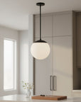 10" Black And White Frosted LED Dimmable Outdoor Globe Hanging Light