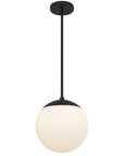 10" Black And White Frosted LED Dimmable Outdoor Globe Hanging Light