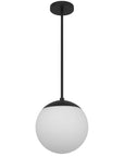 10" Black And White Frosted LED Dimmable Outdoor Globe Hanging Light