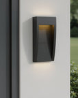 Black LED Dimmable Outdoor Hanging Light