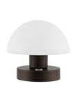 6" Antiqued Bronze Novelty USB Table Lamp With Dome Shade