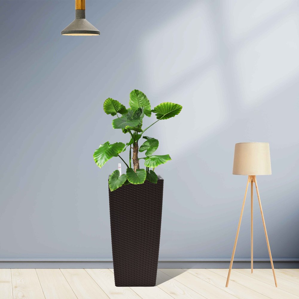 Set of Two Brown Recycled Plastic Round Self Watering Planter Box
