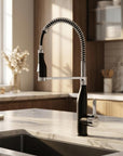 4" Black Stainless Steel Pull-Down Faucet