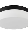 11" Black Metal And Glass Flush Mount Ceiling Light