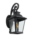 Black Transparent Outdoor Hanging Light With Clear Shades