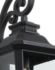 Black Transparent Outdoor Hanging Light With Clear Shades