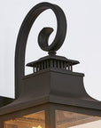 Black Transparent Outdoor Hanging Light With Clear Shades