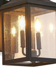 Black Two Light Transparent Outdoor Hanging Lights With Clear Shades