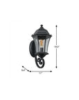 Black Transparent Outdoor Hanging Light With Clear Shades