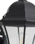 Black Transparent Outdoor Hanging Light With Clear Shades