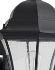 Black Transparent Outdoor Hanging Light With Clear Shades