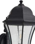 Black Transparent Outdoor Hanging Light With Clear Shades