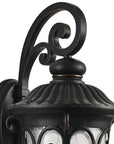 Black Transparent Outdoor Hanging Light With Clear Shades