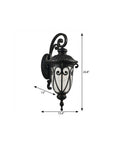 Black Transparent Outdoor Hanging Light With Clear Shades
