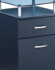 Gray Glass And Metal Two Drawer Rolling Filing Cabinet